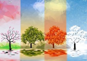 Read more about the article Smog: The Fifth Season – Impacts, Challenges, and Solutions